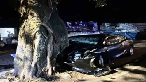 Accident In Himachal: पेड़ से टकराई बेकाबू कार! युवक ने गवाई जान, तीन की हालत गंभीर