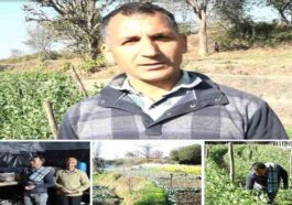 HP News: हिमाचल के रिटायर्ड सैनिक वीरेंद्र ने शुरू की सब्जियों की खेती! अब हर सीजन में कमा रहे 4 से 5 लाख
