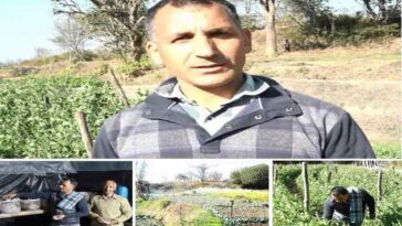 HP News: हिमाचल के रिटायर्ड सैनिक वीरेंद्र ने शुरू की सब्जियों की खेती! अब हर सीजन में कमा रहे 4 से 5 लाख