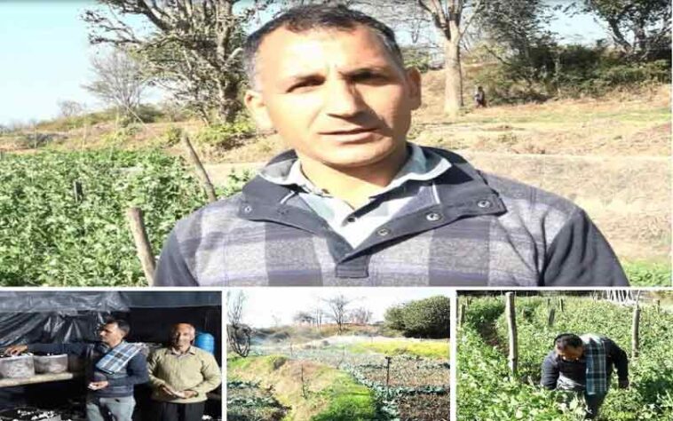HP News: हिमाचल के रिटायर्ड सैनिक वीरेंद्र ने शुरू की सब्जियों की खेती! अब हर सीजन में कमा रहे 4 से 5 लाख