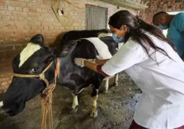 Himachal News Update: पशु मित्रों के 28 पदों पर भर्ती! 5 फरवरी तक करें आवेदन, एज लिमिट 45 साल