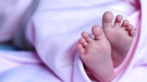 हिमाचल में कलयुगी मां की घिनौनी करतूत: पैदा होते ही नवजात को नहर में फेंका! लिफाफे में लिपटा मिला शव