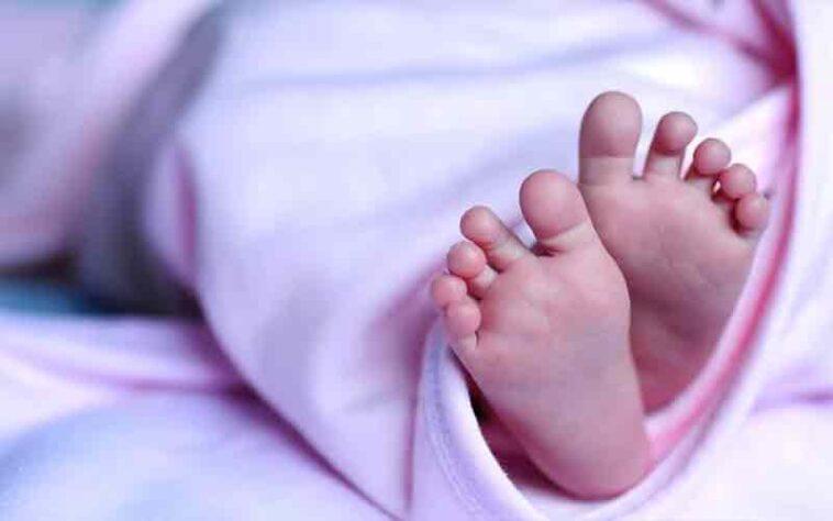 हिमाचल में कलयुगी मां की घिनौनी करतूत: पैदा होते ही नवजात को नहर में फेंका! लिफाफे में लिपटा मिला शव