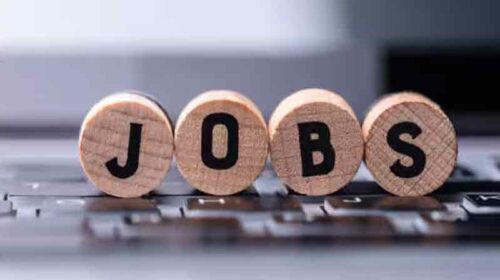 Jobs In Himachal: हिमाचल के युवाओं को नौकरी का शानदार मौका! 120 पदों पर हो रही भर्ती, 24 हज़ार तक मिलेगी सैलरी