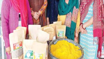 HP News: स्वयं सहायता समूहों के उत्पादों की होगी ऑनलाइन मार्केटिंग! फूड वैन भी करवाई जाएगी उपलब्ध