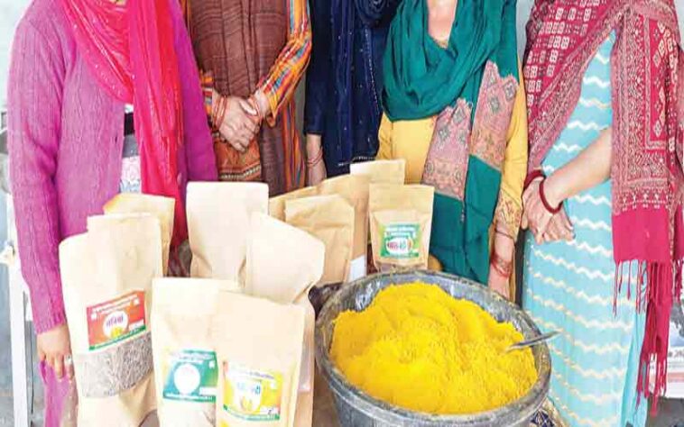 HP News: स्वयं सहायता समूहों के उत्पादों की होगी ऑनलाइन मार्केटिंग! फूड वैन भी करवाई जाएगी उपलब्ध HP News: स्वयं सहायता समूहों के उत्पादों की होगी ऑनलाइन मार्केटिंग! फूड वैन भी करवाई जाएगी उपलब्ध