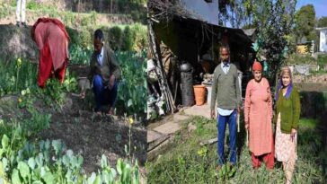 HP News: प्राकृतिक खेती से आत्मनिर्भरता की मिसाल बने अजय कुमार और कमला! हुई अच्छी आमदनी