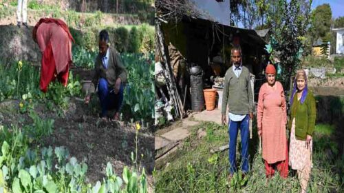 HP News: प्राकृतिक खेती से आत्मनिर्भरता की मिसाल बने अजय कुमार और कमला! हुई अच्छी आमदनी HP News: प्राकृतिक खेती से आत्मनिर्भरता की मिसाल बने अजय कुमार और कमला! हुई अच्छी आमदनी