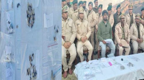 हिमाचल में वन विभाग की बड़ी कार्रवाई: ज्वेलरों की दुकानों पर छापेमारी! पकडे तेंदुए के 85 नाखून और पांच दांत