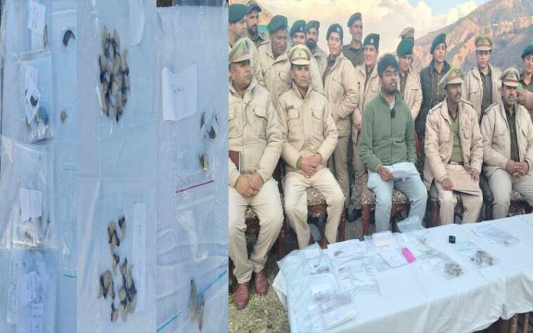 हिमाचल में वन विभाग की बड़ी कार्रवाई: ज्वेलरों की दुकानों पर छापेमारी! पकडे तेंदुए के 85 नाखून और पांच दांत