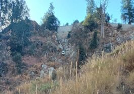 हिमाचल में भीषण सड़क हादसा: खाई में गिरी कार! चार लोगों ने तोड़ा दम, एक की हालत गंभीर