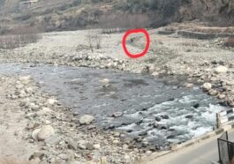 Himachal News Alert: व्यक्ति की ह**त्या कर नदी किनारे फेंका शव! रात को दोस्तों के साथ पी थी शराब