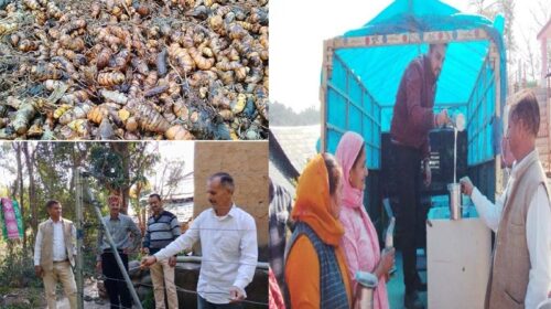 HP News: संगठन से संवरती किस्मत! 500 किसानों को मिली नई दिशा, गांव बना आत्मनिर्भर HP News: संगठन से संवरती किस्मत! 500 किसानों को मिली नई दिशा, गांव बना आत्मनिर्भर