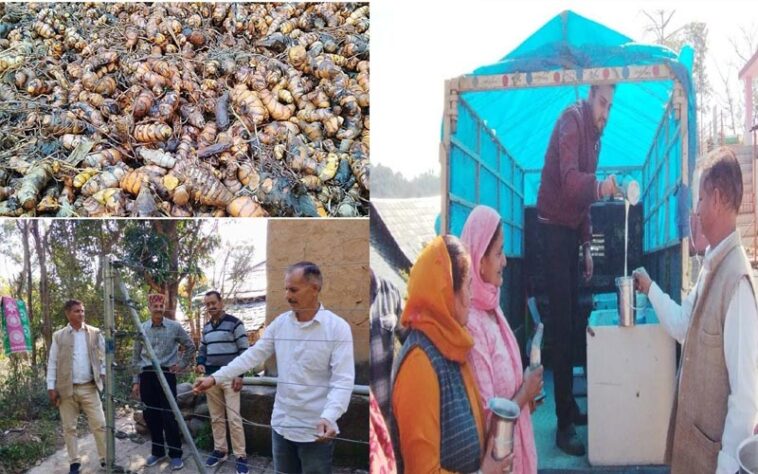 HP News: संगठन से संवरती किस्मत! 500 किसानों को मिली नई दिशा, गांव बना आत्मनिर्भर