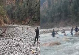 Himachal Latest News: नदी में फंसे सांभर का रेस्क्यू! फिर भी नहीं बची जान, शरीर पर गंभीर चोट के निशान