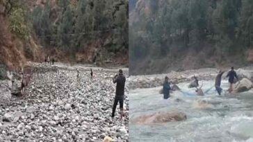 Himachal Latest News: नदी में फंसे सांभर का रेस्क्यू! फिर भी नहीं बची जान, शरीर पर गंभीर चोट के निशान