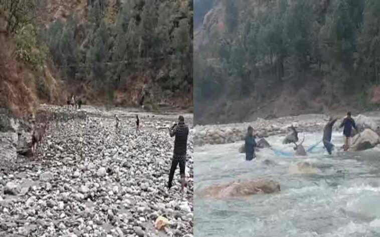 Himachal Latest News: नदी में फंसे सांभर का रेस्क्यू! फिर भी नहीं बची जान, शरीर पर गंभीर चोट के निशान