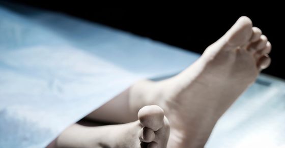 Crime News: देवभूमि हिमाचल में दिल दहला देने वाला मामला! संदिग्ध परिस्थितियों में मिला महिला का शव, गले पर मिले निशान हत्या की आशंका