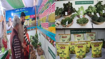 Shivratri Fair: अंतराष्ट्रीय शिवरात्रि मेले में प्राकृतिक खेती स्टॉल बना जागरूकता का केंद्र! रसायनरहित ‘हिमभोग’ आटा भी बिक रहा