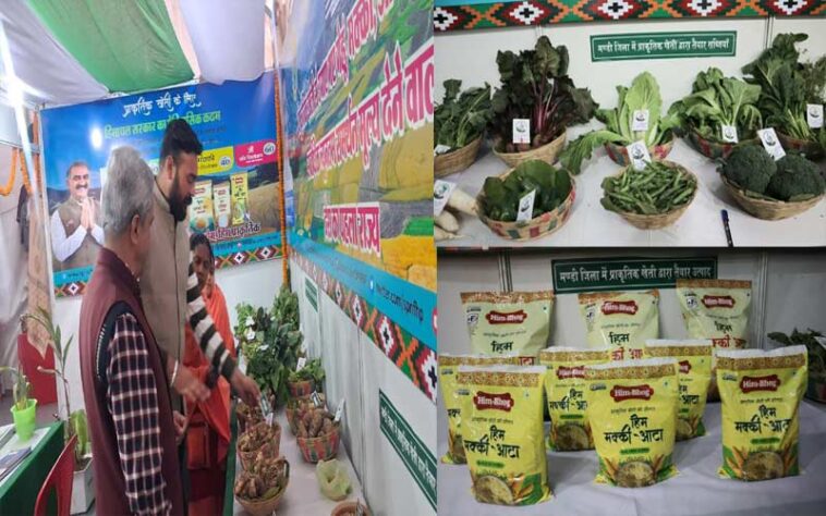 Shivratri Fair: अंतराष्ट्रीय शिवरात्रि मेले में प्राकृतिक खेती स्टॉल बना जागरूकता का केंद्र! रसायनरहित ‘हिमभोग’ आटा भी बिक रहा