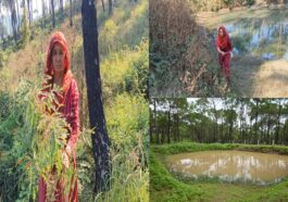 HP News: संरक्षित हुआ पर्यावरण! वन भूमि में रोपित किए 5500 पौधे, समूह की 6 महिलाएं कर रही जंगल की देखरेख