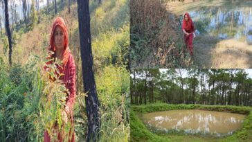 HP News: संरक्षित हुआ पर्यावरण! वन भूमि में रोपित किए 5500 पौधे, समूह की 6 महिलाएं कर रही जंगल की देखरेख