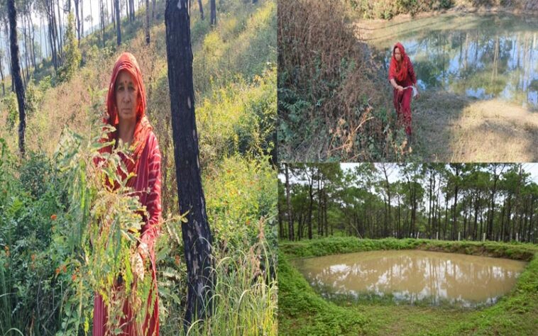 HP News: संरक्षित हुआ पर्यावरण! वन भूमि में रोपित किए 5500 पौधे, समूह की 6 महिलाएं कर रही जंगल की देखरेख HP News: संरक्षित हुआ पर्यावरण! वन भूमि में रोपित किए 5500 पौधे, समूह की 6 महिलाएं कर रही जंगल की देखरेख