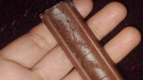 Himachal News: हिमाचल में चॉकलेट का रैपर खोलते ही रेंगता हुआ मिला कीड़ा! अंडे भी मौजूद, हर कोई हैरान