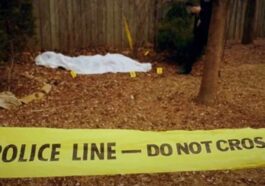 Himachal News Alert: जंगल में मानव कंकाल मिलने से सनसनी! मौके से मोबाइल फोन और तीन सिम कार्ड बरामद