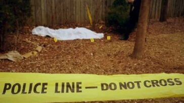 Himachal News Alert: जंगल में मानव कंकाल मिलने से सनसनी! मौके से मोबाइल फोन और तीन सिम कार्ड बरामद