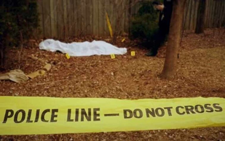 Himachal News Alert: जंगल में मानव कंकाल मिलने से सनसनी! मौके से मोबाइल फोन और तीन सिम कार्ड बरामद