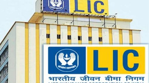 Himachal Jobs : एलआईसी में बीमा सलाहकार के भरे जाएंगे 50 पद! 10वीं फेल या पास युवक-युवतियों को मौका Himachal Jobs : एलआईसी में बीमा सलाहकार के भरे जाएंगे 50 पद! 10वीं फेल या पास युवक-युवतियों को मौका