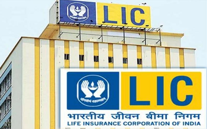 Himachal Jobs : एलआईसी में बीमा सलाहकार के भरे जाएंगे 50 पद! 10वीं फेल या पास युवक-युवतियों को मौका