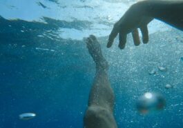 Sirmaur News: बाल कटवाने निकला युवक 3 दिन बाद तालाब में मृत मिला, हादसा या साजिश?