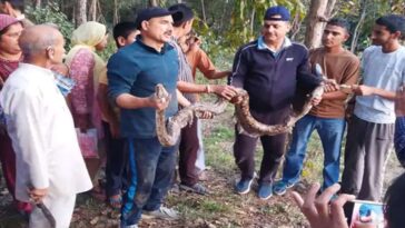 Himachal News: हिमाचल में पकड़ा 10 फुट लंबा रॉक पाइथन! कई दिनों से खेतों में घूम रहा था, ग्रामीणों ने ली राहत की सांसे