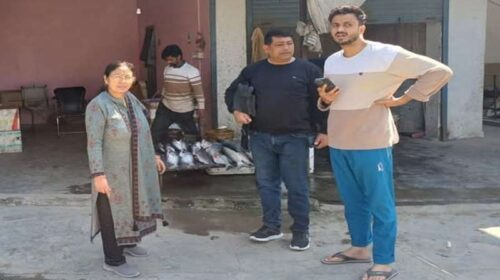 Himachal Latest News: इम्पोर्ट परमिट के बिना हो रही थी मछली की बिक्री! विभाग ने लगाया जुर्माना