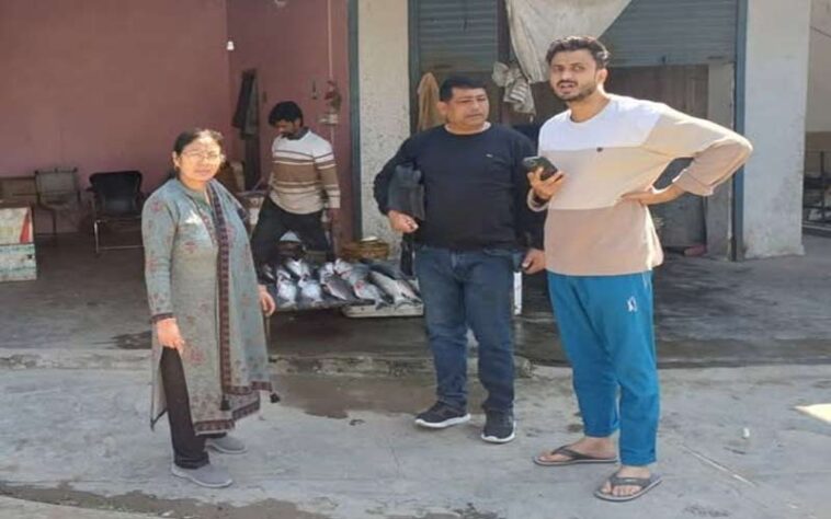 Himachal Latest News: इम्पोर्ट परमिट के बिना हो रही थी मछली की बिक्री! विभाग ने लगाया जुर्माना