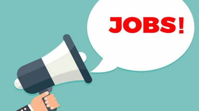 Jobs : 23 हज़ार तक चाहिए सैलरी तो आए यहाँ! 100 पदों की भर्ती के लिए होंगे इंटरव्यू, 40 साल तक के युवाओं को मौका