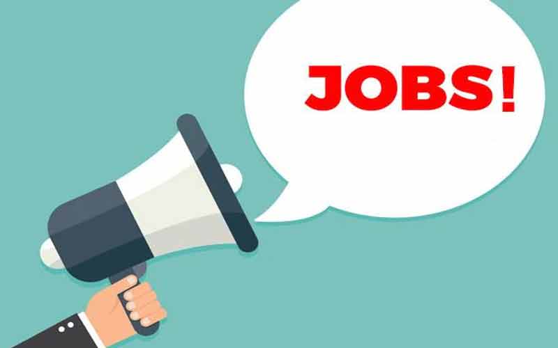 Jobs In Himachal: टेक्निकल एसोसिएट के 40 पदों पर भर्ती! युवक-युवतियों को मौका, सैलरी 22 हज़ार से ज़्यादा