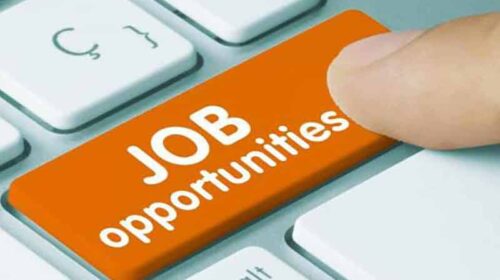 Jobs In Himachal: क्या आप भी कर रहे नौकरी की तलाश तो आए यहां! 100 पदों की भर्ती के लिए हो रहे इंटरव्यू