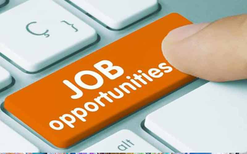 Jobs In Himachal: क्या आप भी कर रहे नौकरी की तलाश तो आए यहां! 100 पदों की भर्ती के लिए हो रहे इंटरव्यू