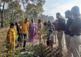 Himachal News Update: तेंदुए ने डेरे पर किया हमला! 25 मेमनों को बनाया शिकार