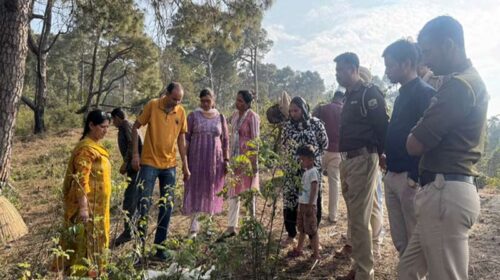 Himachal News Update: तेंदुए ने डेरे पर किया हमला! 25 मेमनों को बनाया शिकार