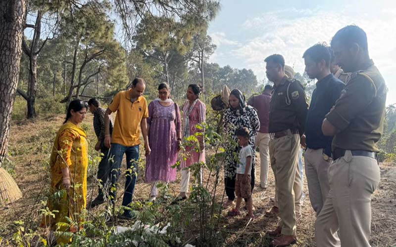 Himachal News Update: तेंदुए ने डेरे पर किया हमला! 25 मेमनों को बनाया शिकार