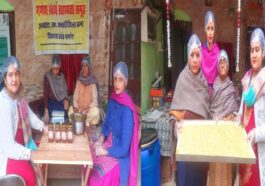 HP News: आत्मनिर्भरता की मिसाल बनी निशु सूद! चटनी और अचार से प्रतिमाह कमा रहीं 60 हजार का मुनाफा