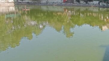 Sirmour News: घर से बिना बताए निकला 35 वर्षीय युवक! फिर तालाब से मिला शव, मचा हड़कंप