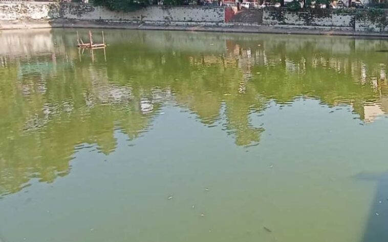 Sirmour News: घर से बिना बताए निकला 35 वर्षीय युवक! फिर तालाब से मिला शव, मचा हड़कंप