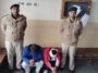 Himachal Crime News: नाका तोड़कर फरार हो रहे थे तस्कर! पुलिस ने ऐसे दबोचे, गाड़ी से हथियार सहित नशीले पदार्थ बरामद