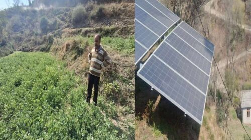 Success Story: सौर ऊर्जा की चमक से खेतों को मिली नई ऊर्जा! छज्जू राम कर रहे 4 लाख तक कमाई