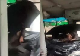 Himachal Latest News: बारिश से टपकने लगी HRTC बस की छत! ड्राइवर ने एक हाथ में स्टेयरिंग तो दूसरे में पकड़ा छाता